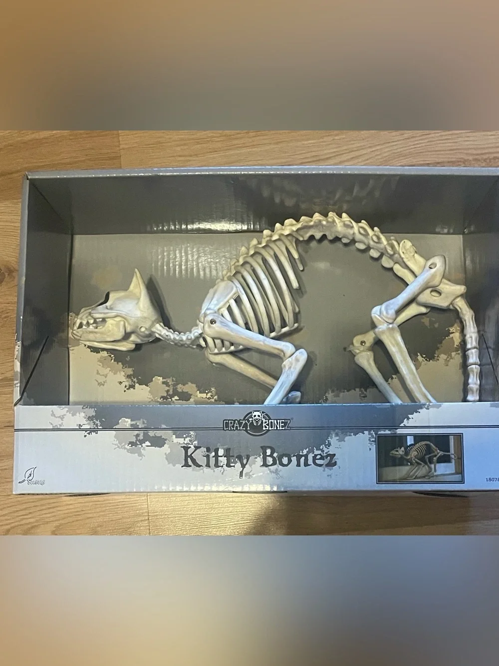 Kitty Bonez Skeleton Cat Halloweem skulls New